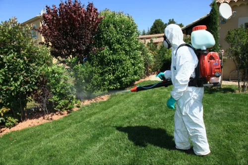 Binghamton Mosquito Control