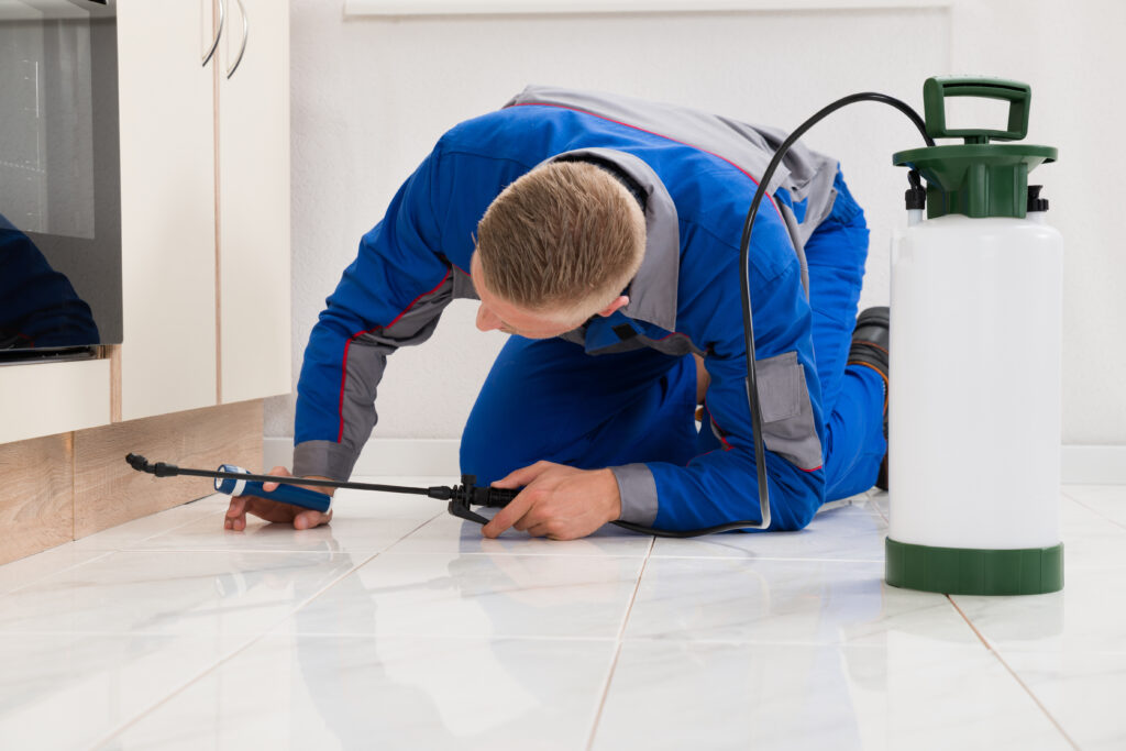 Findlay Ant Control Xperts